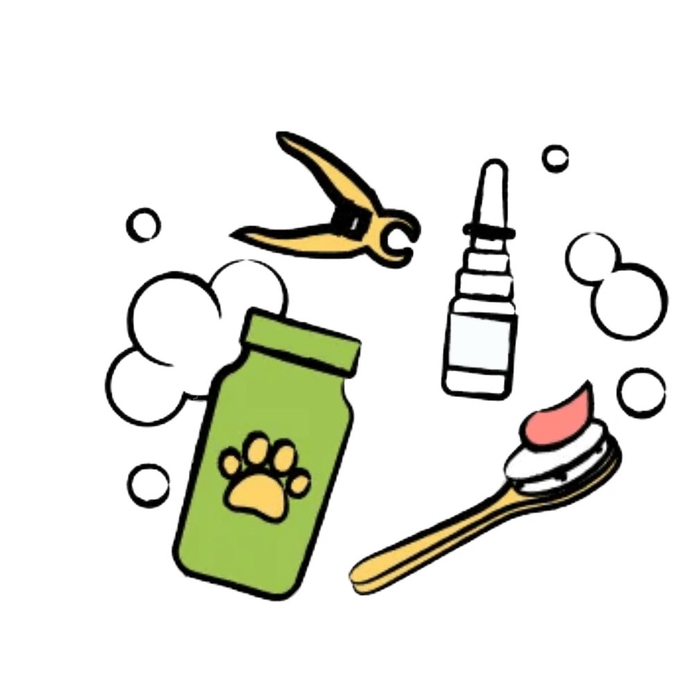 Full Groom & Care